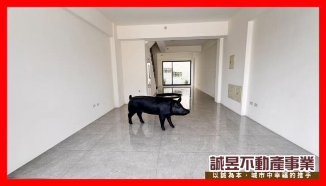 台南南區透天-5