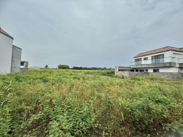 玉井透天-12