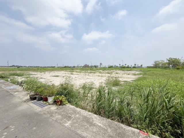 安南農地-5