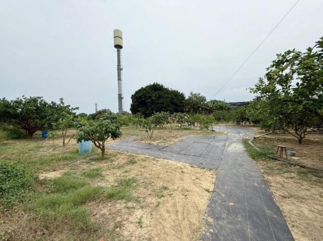 善化農地-4