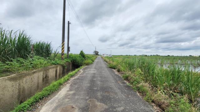 台南善化農地-0