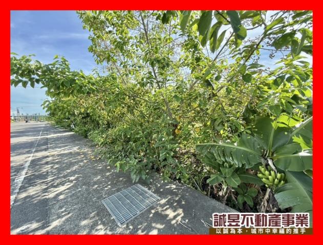 台南新化農地-1