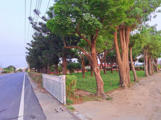 台南農地-6