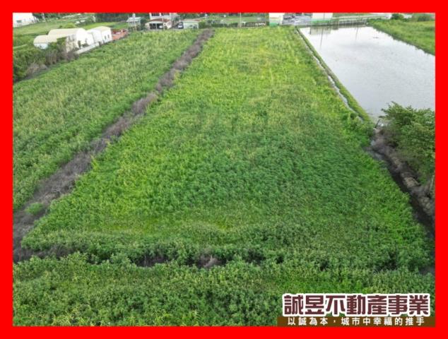 台南安南農地-1