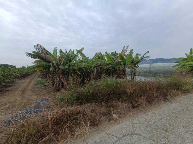 台南玉井農地-0